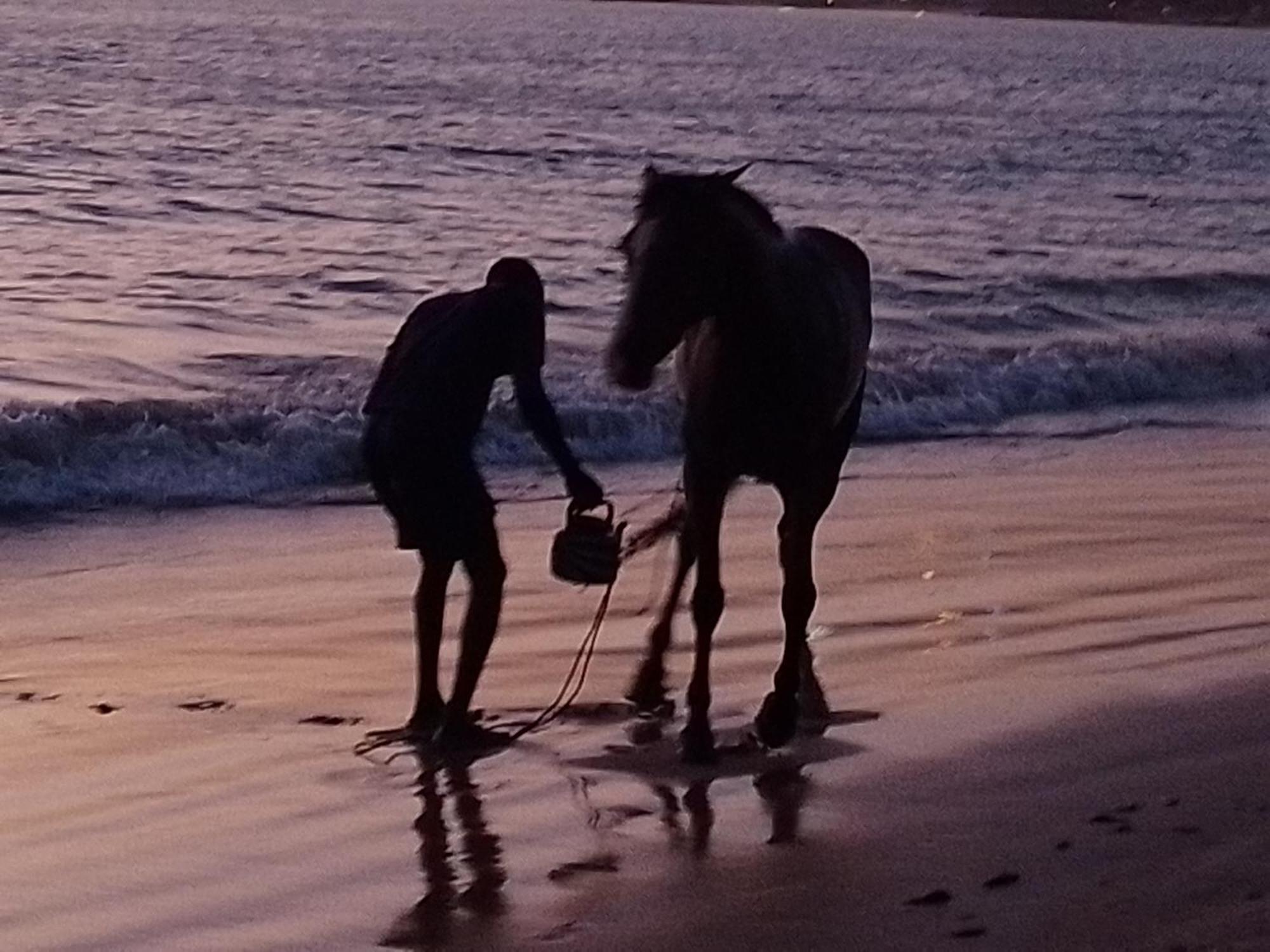 Paradisplage, 1 Minute De La Mer Saly Portudal Exteriér fotografie
